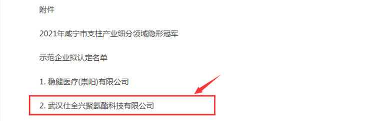 2021年咸寧市支柱產(chǎn)業(yè)細(xì)分領(lǐng)域隱形冠軍企業(yè)